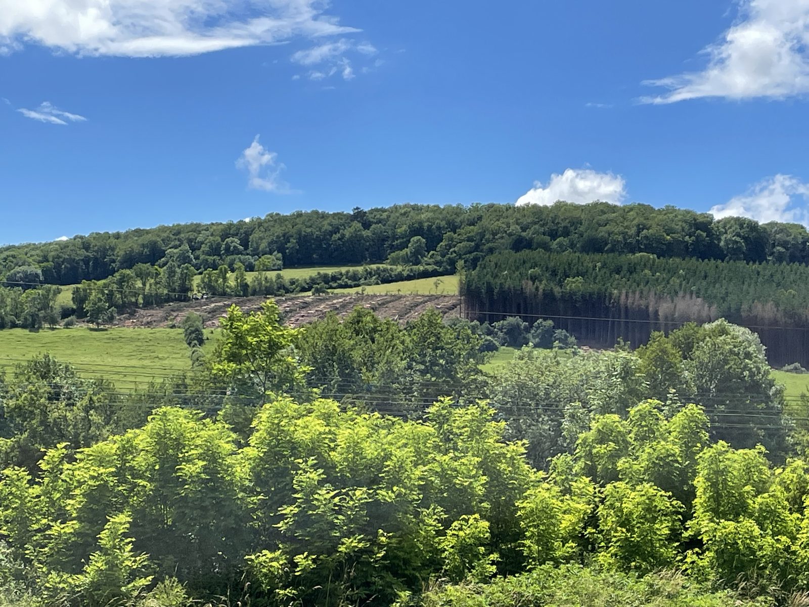 Collines boisées autour de Lézinnes, avec une parcelle en cours d'exploitation